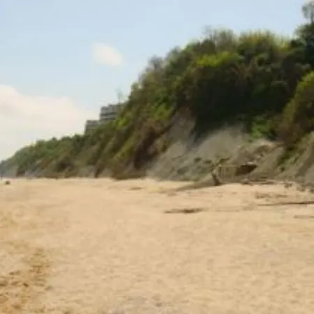 Stefanov In Byala Byala (Varna)