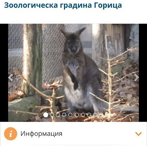 Apartment Stefanov In Byala *