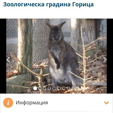 Апартамент стефанов в *