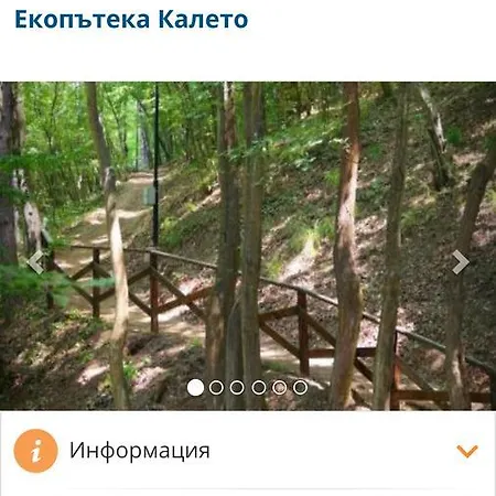 Апартамент стефанов в *